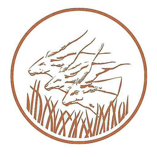 Central African CFA Franc Central Africa - Central African CFA Franc (XAF)